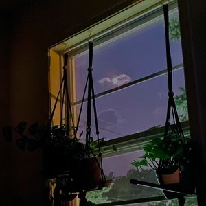 Meet your Posher, Jaylen